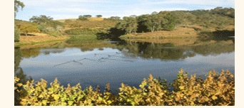Adelaide Vineyard Reservoir