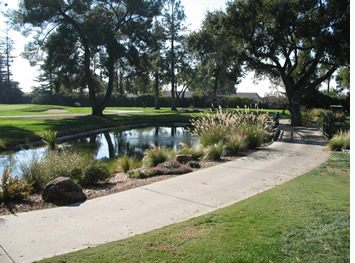 San Jose Country Club Pond