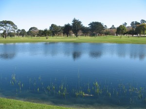 Monterey Pines Golf Course